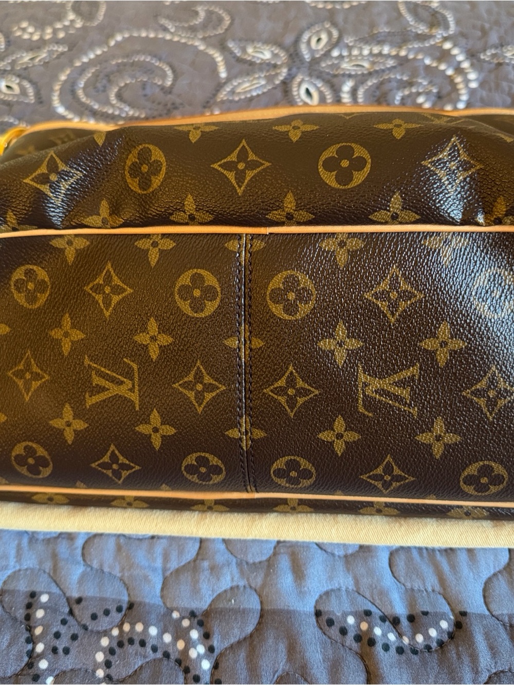 Louis Vuitton Delightful PM - Picture 5 of 15